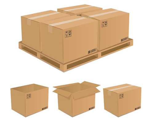 Packaging carton 1